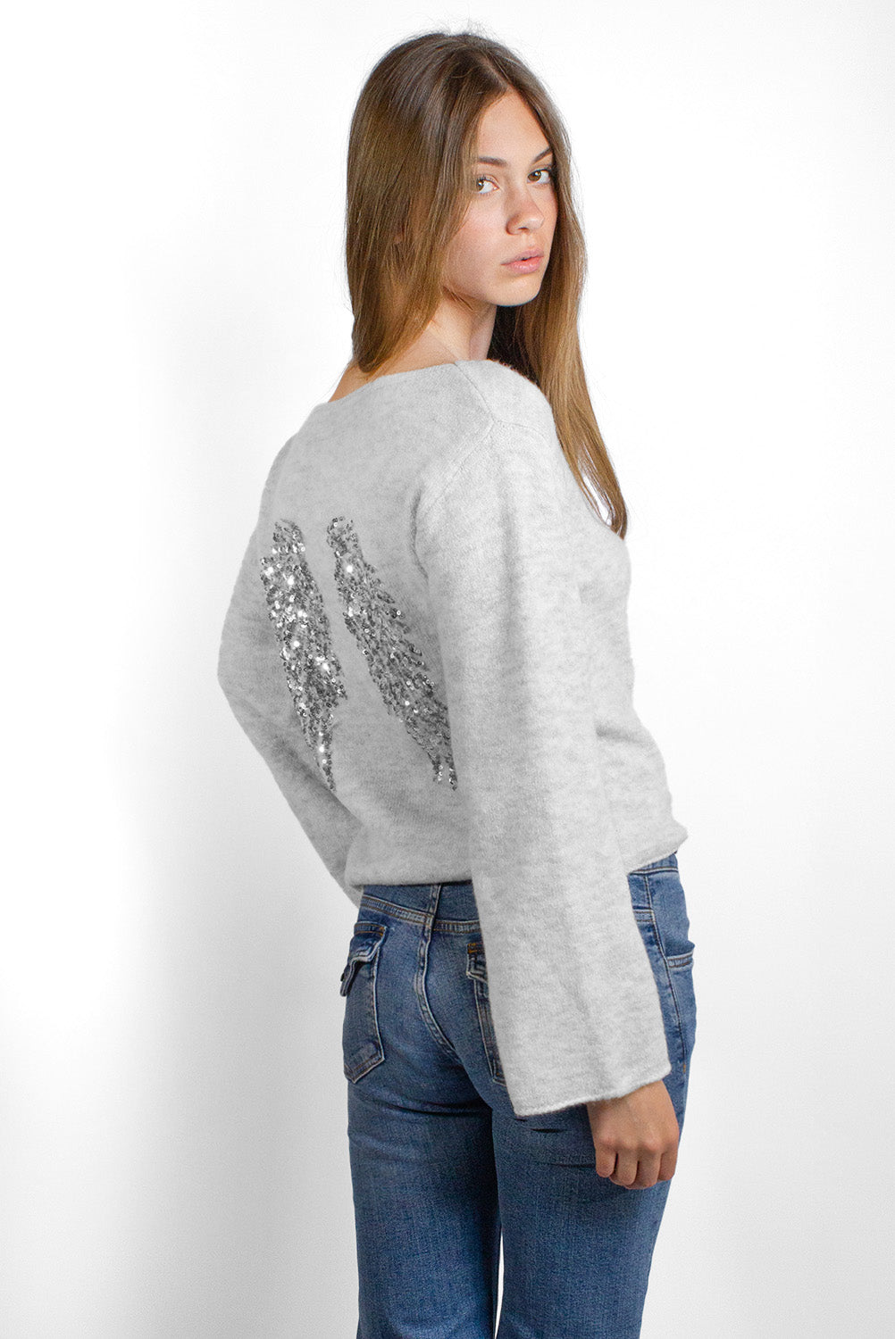 Subdued Customer Favorite - Wings sequin sweater